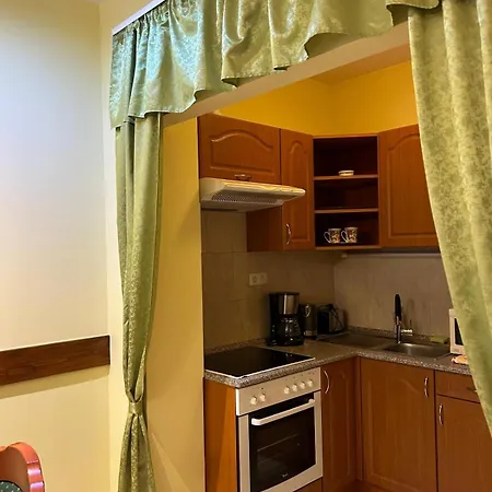 Rehab Vip Apartament Héviz